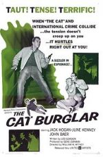 Watch The Cat Burglar Projectfreetv