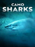 Watch Camo Sharks Projectfreetv