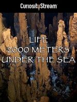 Watch Life 2,000 Meters Under the Sea Projectfreetv