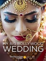 Watch My Big Bollywood Wedding Online Projectfreetv