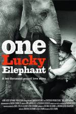 Watch En lycklig elefant Projectfreetv