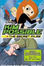 Watch "Kim Possible" Attack of the Killer Bebes Projectfreetv