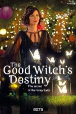 Watch The Good Witchs Destiny Projectfreetv