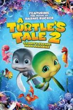 Watch A Turtle\'s Tale 2: Sammy\'s Escape from Paradise Projectfreetv