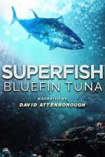 Watch Superfish Bluefin Tuna Projectfreetv