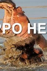 Watch Hippo Hell Projectfreetv