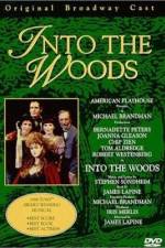 Watch Into the Woods Projectfreetv