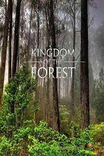 Watch National Geographic Kingdom of the Forest Projectfreetv