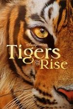 Watch Tigers on the Rise Online Projectfreetv