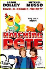 Watch Hatching Pete Projectfreetv