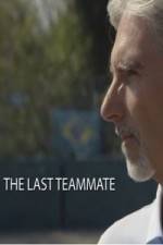Watch Senna The Last Teammate Projectfreetv