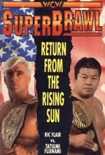 Watch WCW SuperBrawl I Projectfreetv