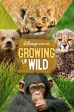 Watch Growing Up Wild Projectfreetv