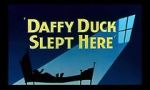 Watch Daffy Duck Slept Here (Short 1948) Projectfreetv