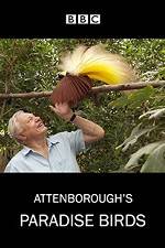 Watch Attenborough's Paradise Birds Projectfreetv