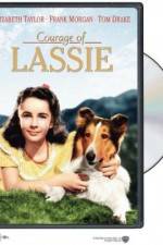 Watch Courage of Lassie Projectfreetv