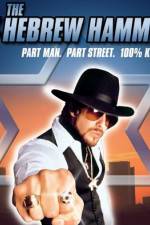 Watch The Hebrew Hammer Projectfreetv