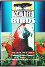 Watch PBS Nature - Extraordinary Birds Projectfreetv