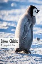 Watch Snow Chick: A Penguin's Tale Projectfreetv