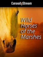 Watch Wild Horses of the Marshes Projectfreetv