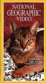 Watch Cats: Caressing the Tiger Projectfreetv