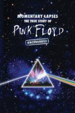 Watch Pink Floyd: Momentary Lapses - The True Story Of Pink Floyd Projectfreetv