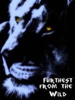Watch Furthest from the Wild Projectfreetv