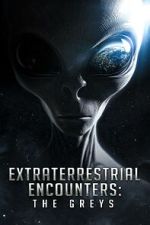 Extraterrestrial Encounters: The Greys projectfreetv