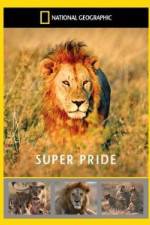 Watch National Geographic: Super Pride  Africa's Largest Lion Pride Projectfreetv