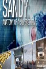 Watch Sandy Anatomy Of A Superstorm Projectfreetv