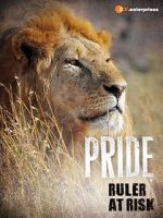 Watch Pride - Ruler\'s at Risk Projectfreetv