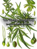 Watch The Hemp Conspiracy: The Most Powerful Plant in the World (Short 2017) Vodlocker