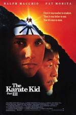 Watch The Karate Kid, Part III Projectfreetv