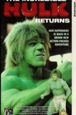 Watch The Incredible Hulk Returns Projectfreetv