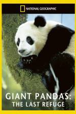 Watch National Geographic Giant Pandas The Last Refuge Projectfreetv