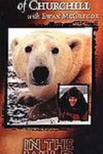 Watch The Polar Bears of Churchill with Ewan McGregor Projectfreetv