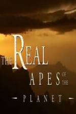 Watch The Real Apes of the Planet Projectfreetv