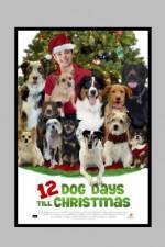 Watch 12 Dog Days of Christmas Projectfreetv