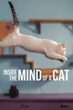 Watch Inside the Mind of a Cat Projectfreetv