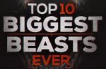 Watch Top 10 Biggest Beasts Ever Projectfreetv