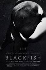 Watch Blackfish Projectfreetv