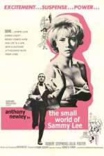 Watch The Small World of Sammy Lee Projectfreetv