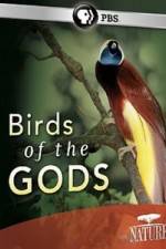 Watch Birds Of The Gods Projectfreetv
