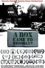 Watch A Box Came to Brooklyn Projectfreetv