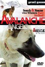 Watch Avalanche Angels Projectfreetv