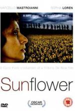 Watch Sunflower Projectfreetv