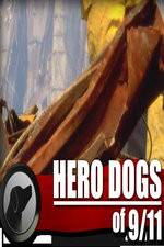 Watch Hero Dogs of 911 Documentary Special Projectfreetv