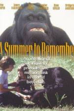 Watch A Summer to Remember Projectfreetv