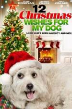 Watch 12 Christmas Wishes For My Dog Projectfreetv