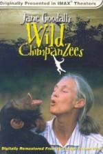 Watch Jane Goodall's Wild Chimpanzees Projectfreetv